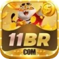 11br - Royal Earning App